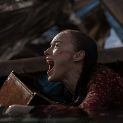 Knapp 40 Millionen Views in nur wenigen Tagen: In diesem Thriller kämpft ein "Bridgerton"-Star in einem Hurrikan gegen Haie!