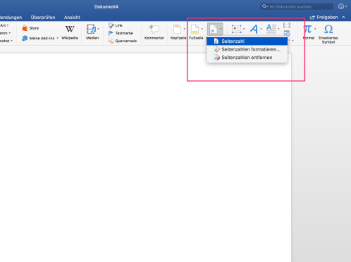 Microsoft Word: So nutzt ihr Seitenzahlen ab Seite 2 oder 3 - NETZWELT