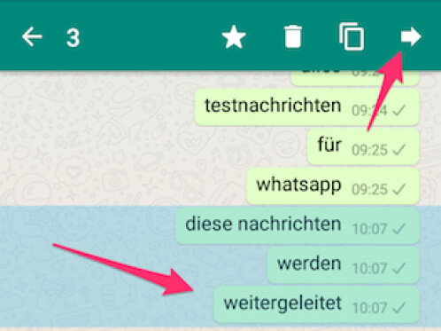 WhatsApp: So Leitet Ihr Eine Nachricht, Bilder Oder Videos Weiter ...