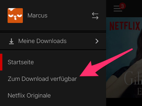 netflix filme runterladen netflix filme runterladen