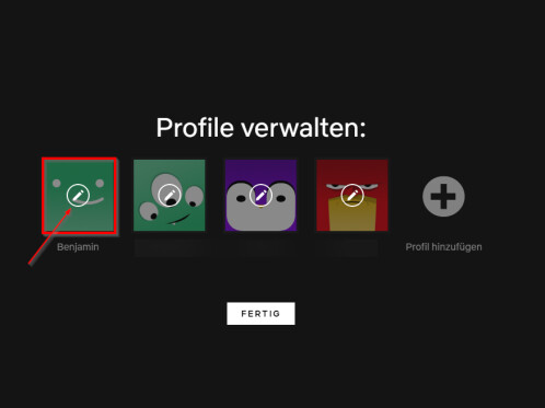 Netflix Profilbild Netflix Profilbild