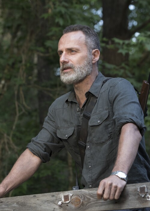 The Walking Dead Staffeln und Episodenguide News NETZWELT