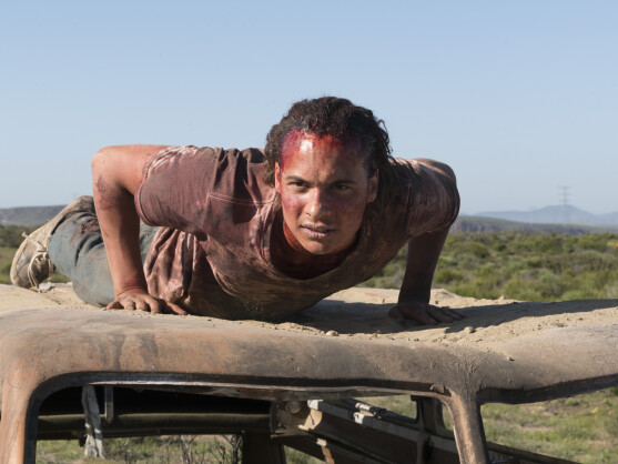The Walking Dead Staffel 6 Folge 8 Stream The Walking Dead Staffel 6 Folge 8 Stream