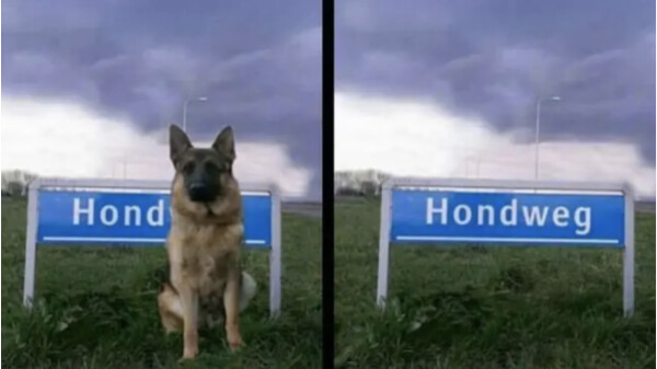 Hond weg. Macht es gut und ein schönes Wochenende wünscht - das gesamte Netzwelt-Team.