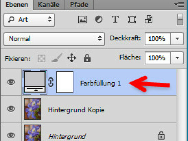 Photoshop Bilderrahmen Erstellen Netzwelt