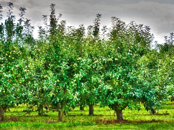 Photoshop Hdr Effekte Richtig Anwenden Netzwelt