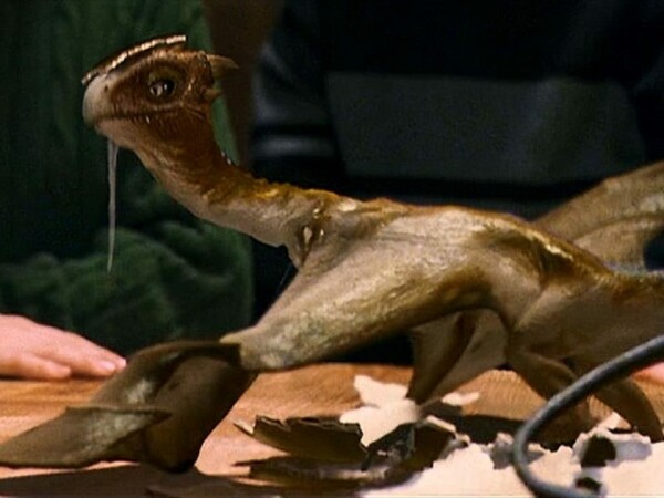 Harry Potter-Quiz: Wie gut ihr kennt ihr Hogwarts und Co? - NETZWELT