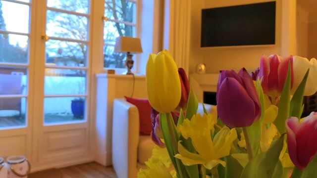 Blumen bestellen zum Valentinstag Diese Fristen müsst ihr jetzt