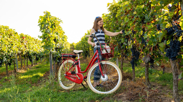 gibt es geschenkgutscheine von fahrrad.de