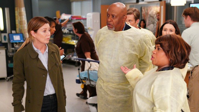 Greys Anatomy Staffel 9 Folge 19