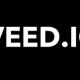 Veed Logo