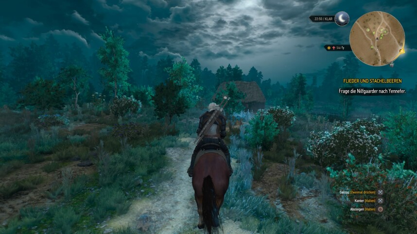 The Witcher 3 - Wild Hunt - Test: Eine Liebeserklärung an ...