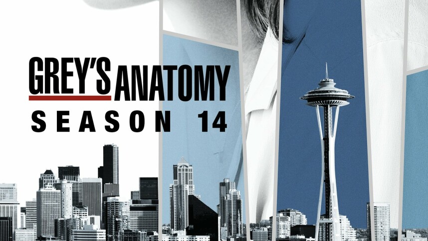 Grey's Anatomy Staffel 14 Kostenlos Schauen