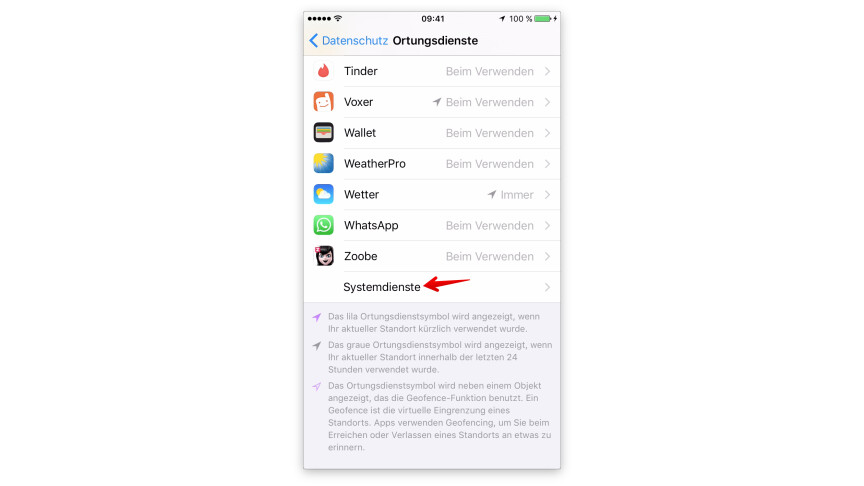 Apple iOS SpotlightSuche am iPhone und iPad richtig nutzen NETZWELT