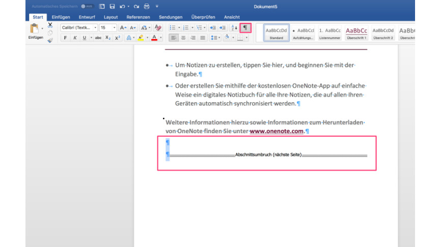 Microsoft Word: So fügt ihr Abschnittsumbrüche in Dokumente ein | NETZWELT