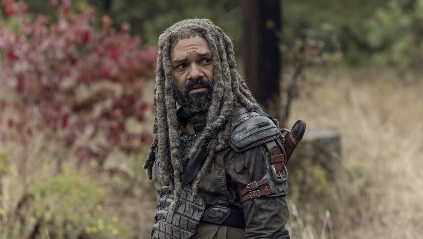 Walking Dead Wieviele Staffeln Geplant Walking Dead Wieviele Staffeln Geplant