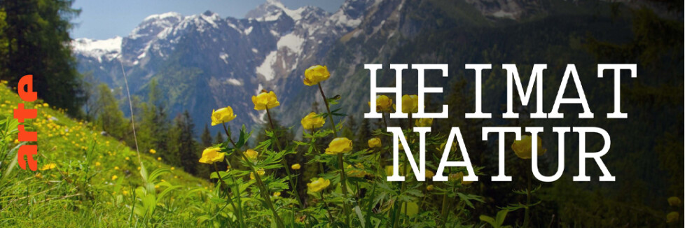 Heimat Natur Sendetermine & Stream April/Mai 2025 NETZWELT