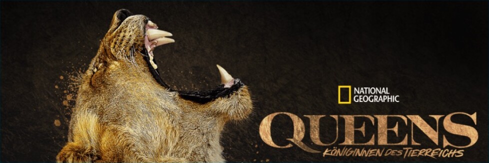 Queens - Königinnen des Tierreichs: Sendetermine & Stream im Juni und Juli 2024