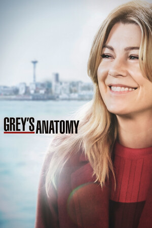 Greys Anatomy Netzwelt