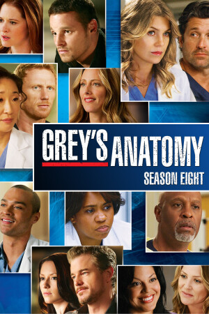 GreyS Anatomy Staffel 8 Episodenguide