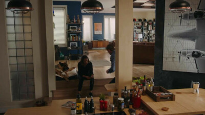 Hudson & Rex | Staffeln und Episodenguide | NETZWELT