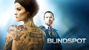 Blind Spot Staffel 5